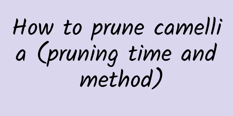 How to prune camellia (pruning time and method)