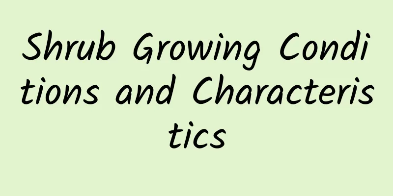 Shrub Growing Conditions and Characteristics