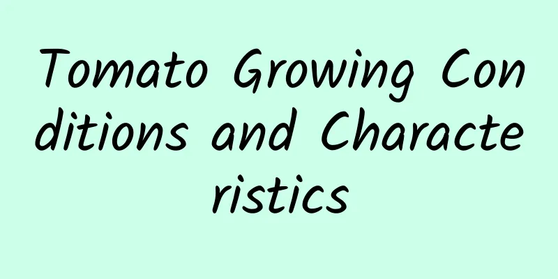 Tomato Growing Conditions and Characteristics