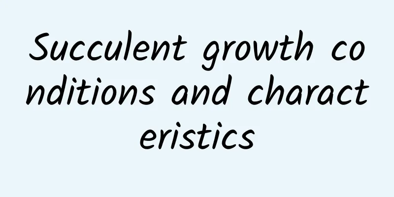 Succulent growth conditions and characteristics
