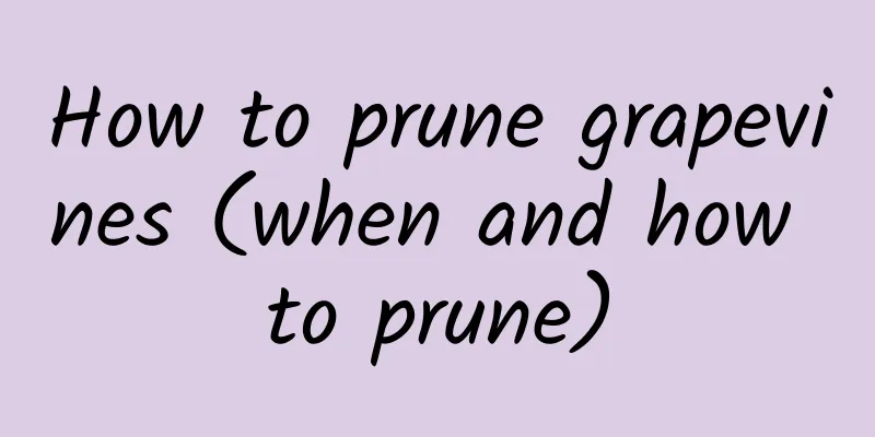 How to prune grapevines (when and how to prune)