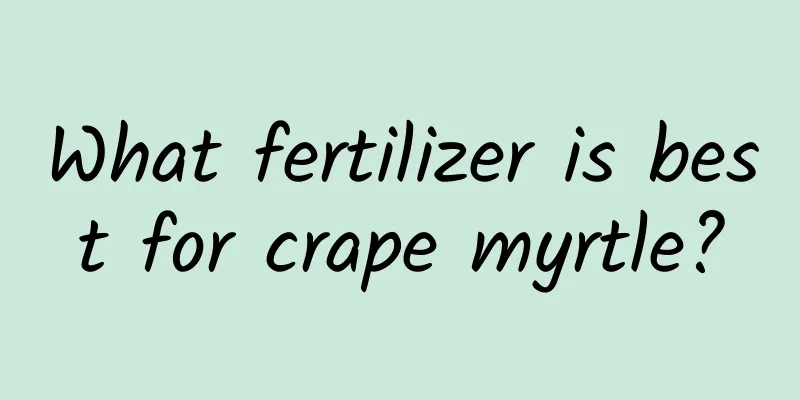 What fertilizer is best for crape myrtle?