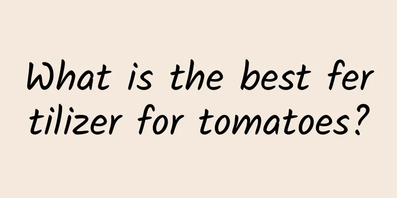 What is the best fertilizer for tomatoes?