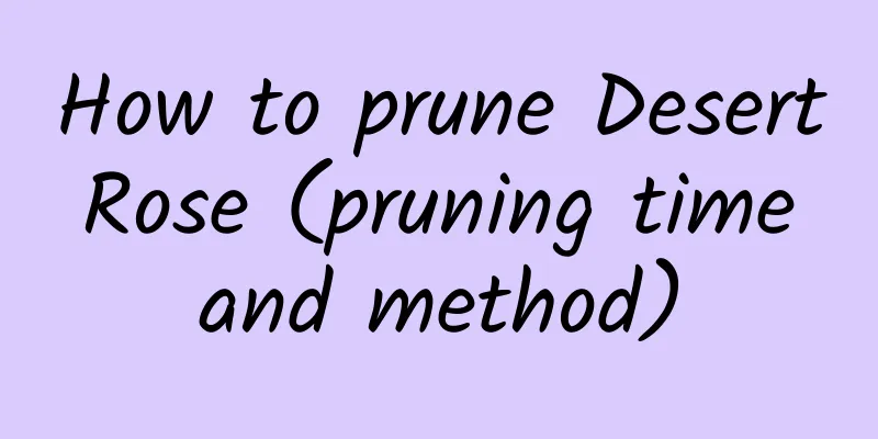 How to prune Desert Rose (pruning time and method)