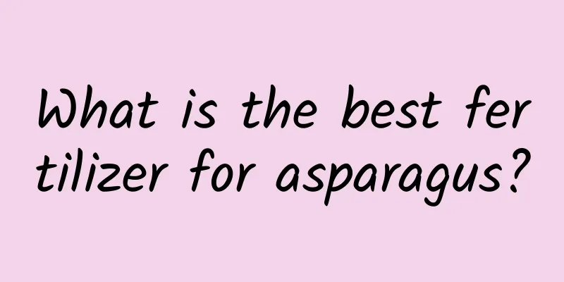 What is the best fertilizer for asparagus?