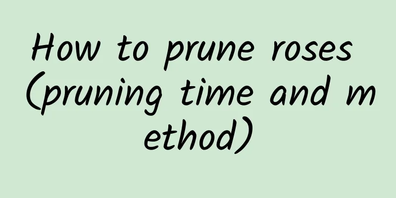 How to prune roses (pruning time and method)