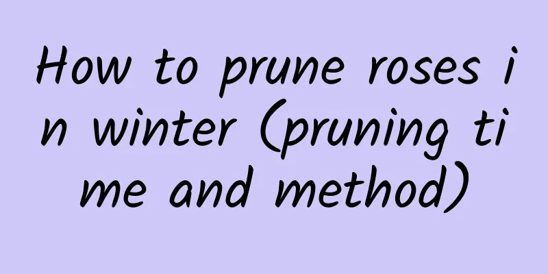 How to prune roses in winter (pruning time and method)