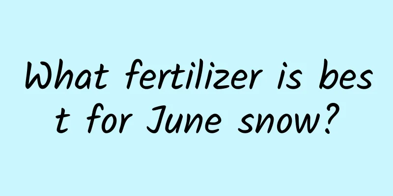 What fertilizer is best for June snow?