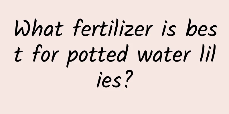 What fertilizer is best for potted water lilies?