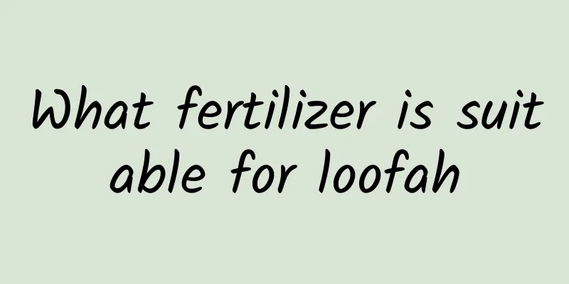 What fertilizer is suitable for loofah