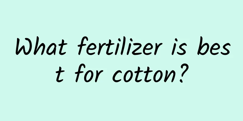What fertilizer is best for cotton?