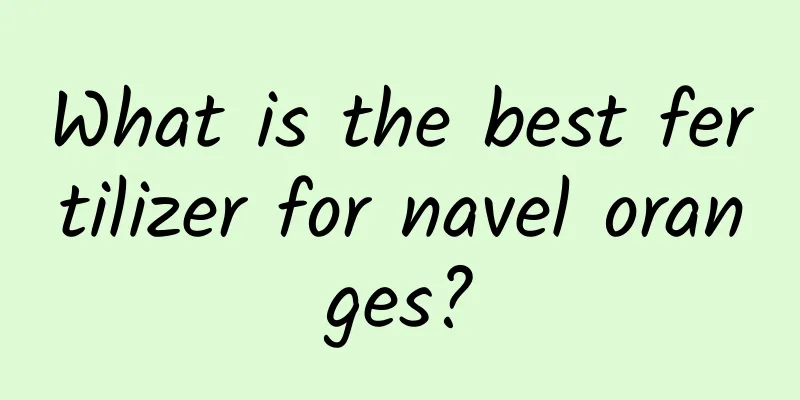 What is the best fertilizer for navel oranges?