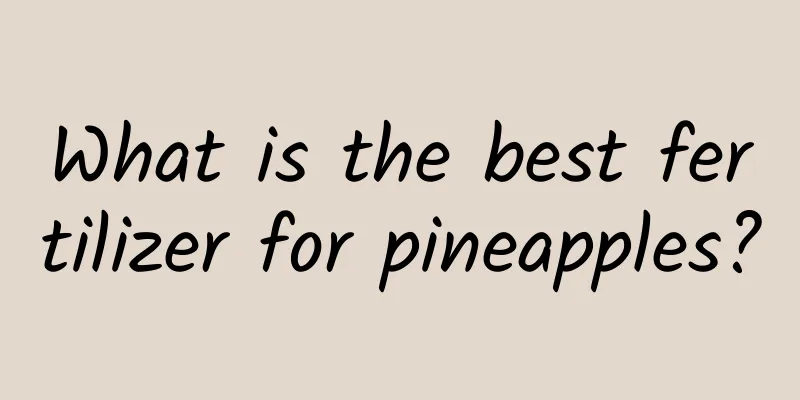 What is the best fertilizer for pineapples?