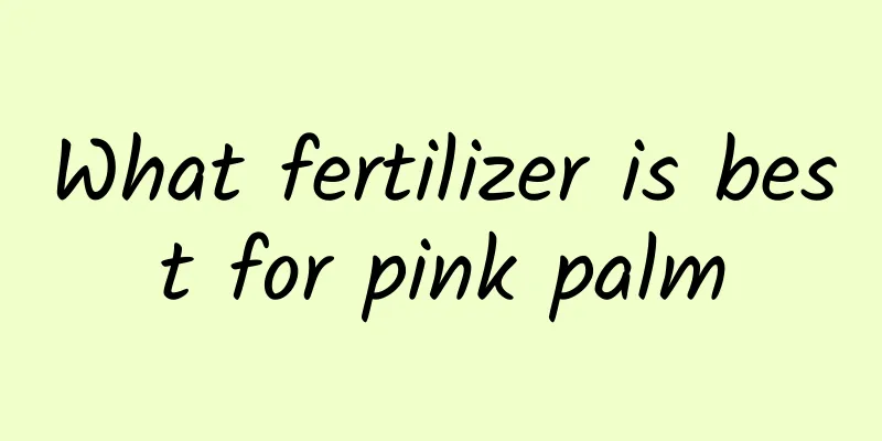 What fertilizer is best for pink palm