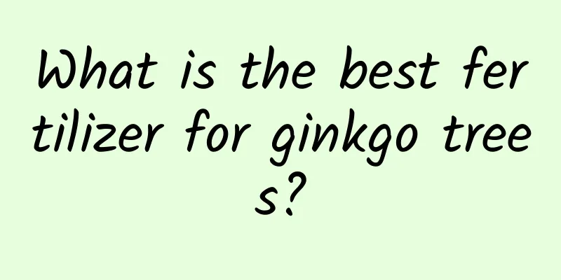 What is the best fertilizer for ginkgo trees?