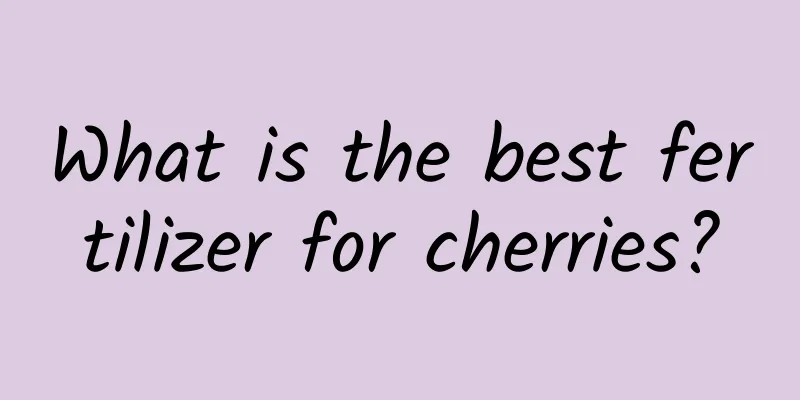 What is the best fertilizer for cherries?