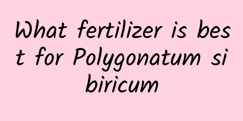 What fertilizer is best for Polygonatum sibiricum