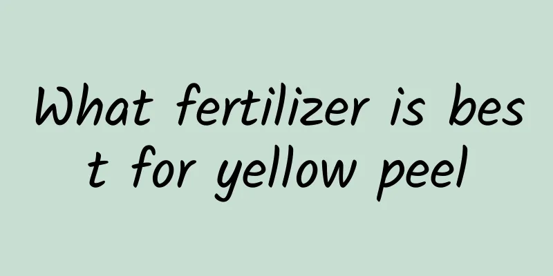 What fertilizer is best for yellow peel