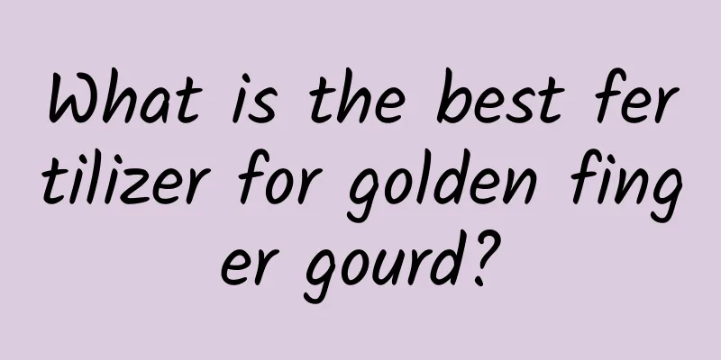 What is the best fertilizer for golden finger gourd?