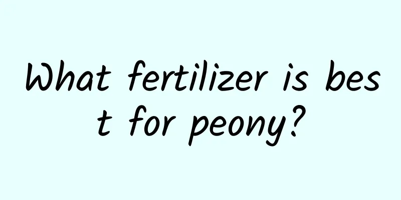 What fertilizer is best for peony?
