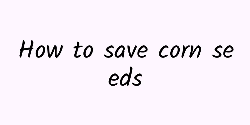 How to save corn seeds