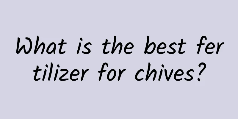 What is the best fertilizer for chives?