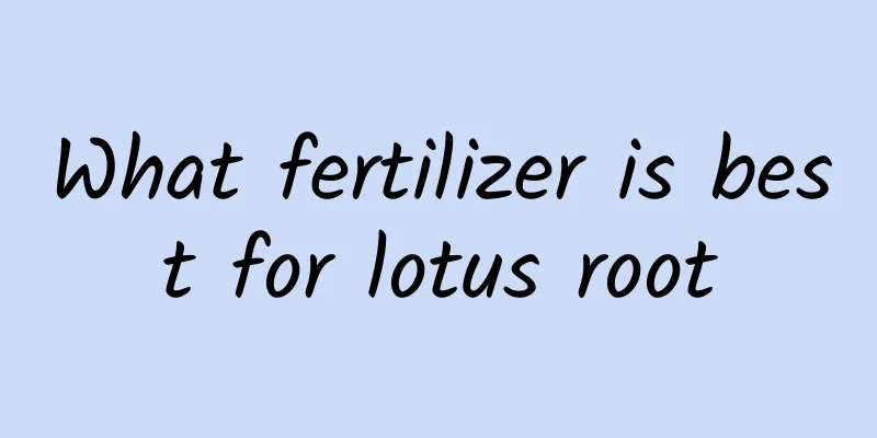 What fertilizer is best for lotus root