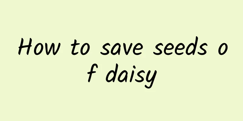 How to save seeds of daisy