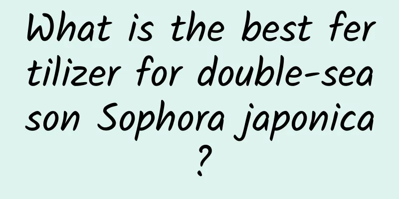 What is the best fertilizer for double-season Sophora japonica?