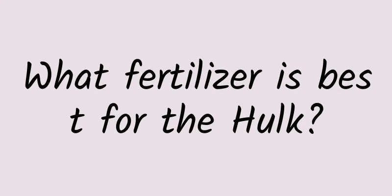 What fertilizer is best for the Hulk?