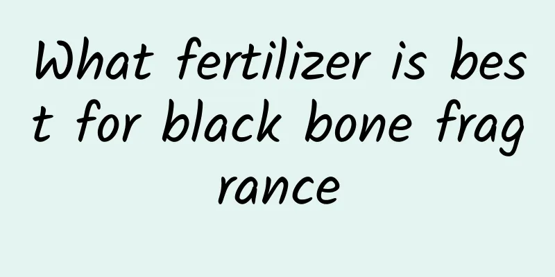 What fertilizer is best for black bone fragrance