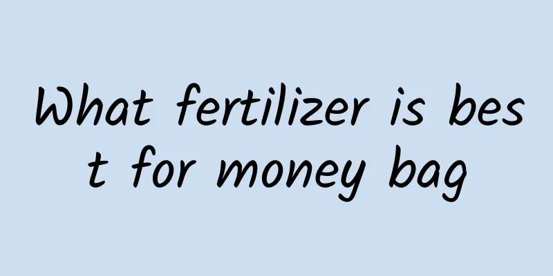 What fertilizer is best for money bag