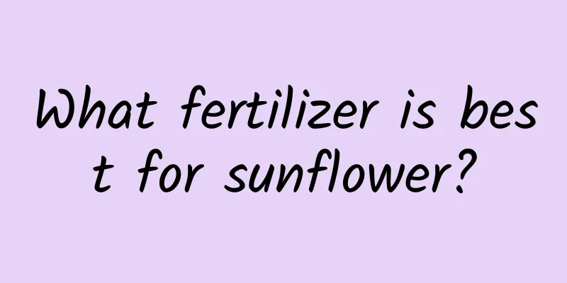 What fertilizer is best for sunflower?