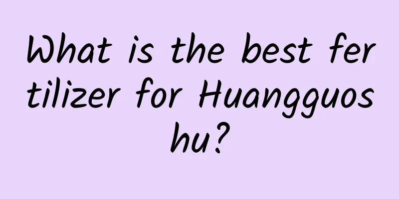 What is the best fertilizer for Huangguoshu?