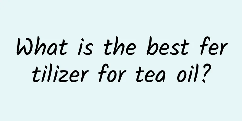What is the best fertilizer for tea oil?