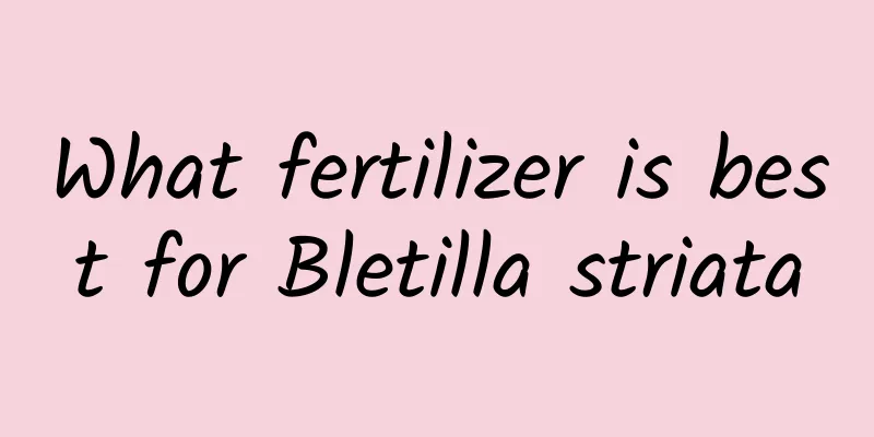 What fertilizer is best for Bletilla striata