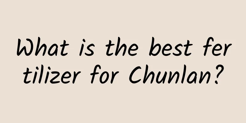 What is the best fertilizer for Chunlan?