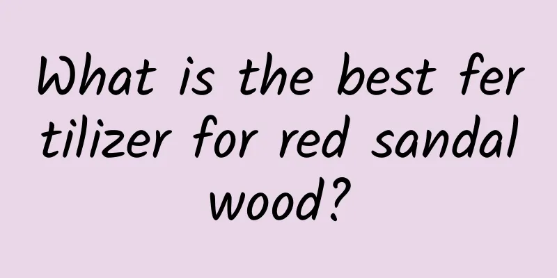What is the best fertilizer for red sandalwood?