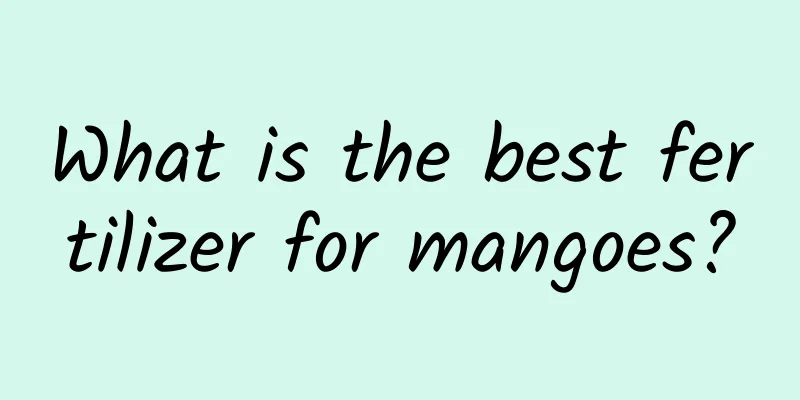 What is the best fertilizer for mangoes?