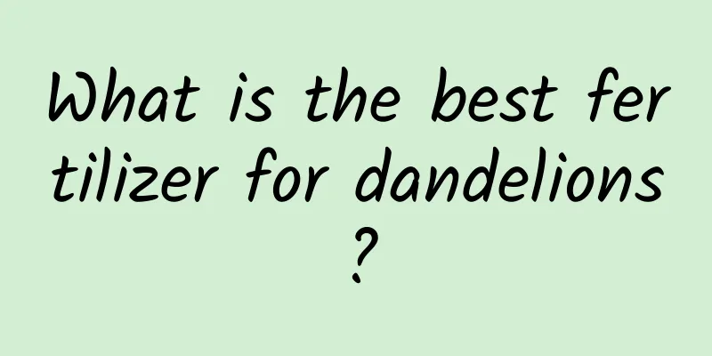 What is the best fertilizer for dandelions?