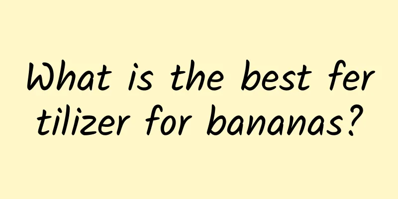 What is the best fertilizer for bananas?