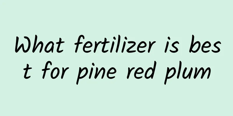 What fertilizer is best for pine red plum