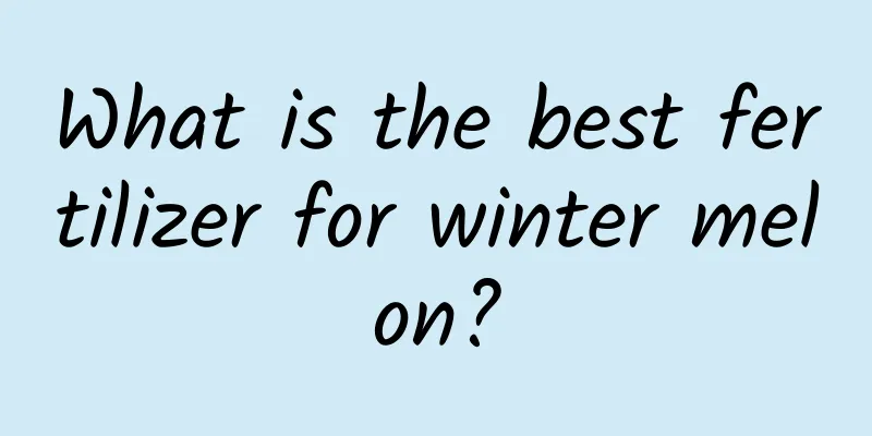 What is the best fertilizer for winter melon?