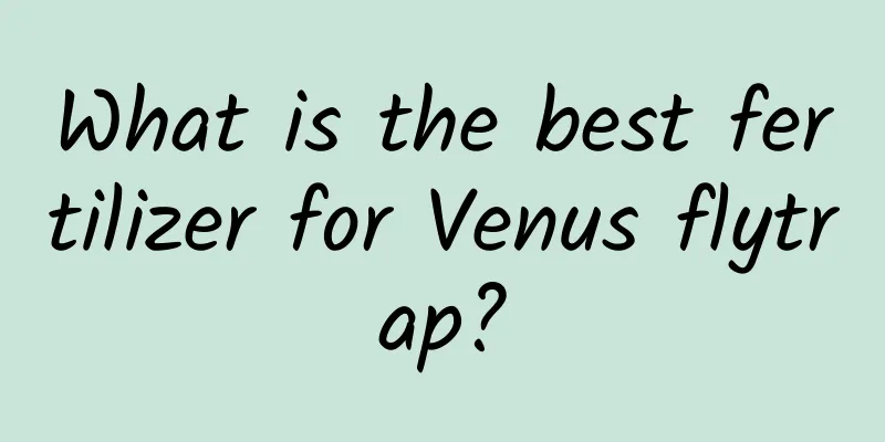 What is the best fertilizer for Venus flytrap?
