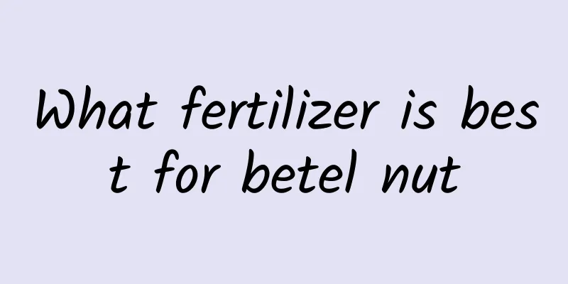 What fertilizer is best for betel nut