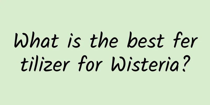 What is the best fertilizer for Wisteria?