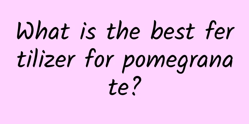 What is the best fertilizer for pomegranate?