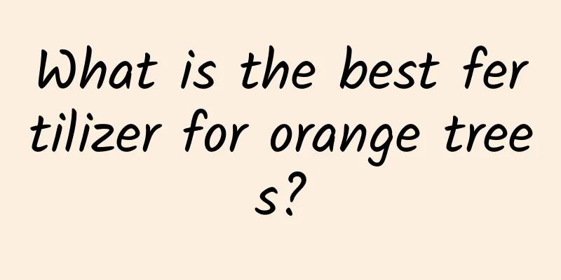 What is the best fertilizer for orange trees?
