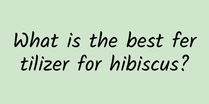 What is the best fertilizer for hibiscus?