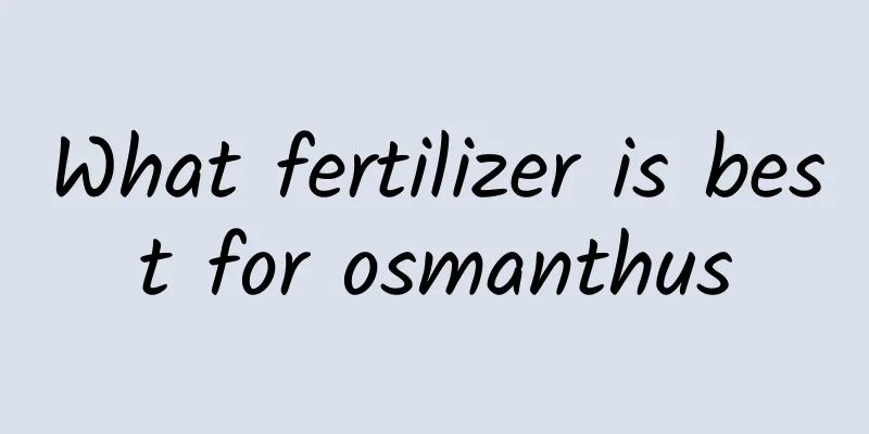 What fertilizer is best for osmanthus